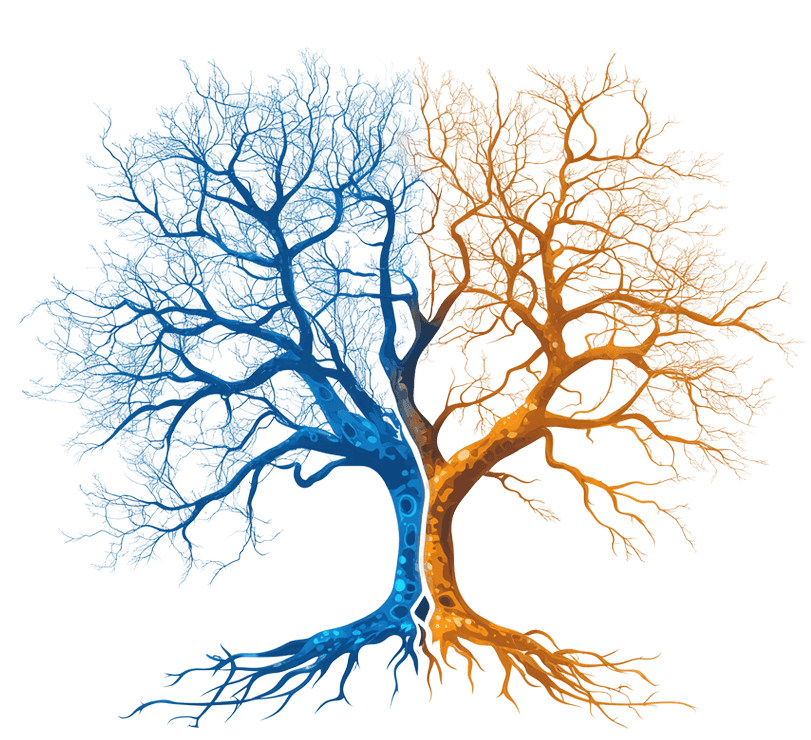 A blue and orange tree representing a brain